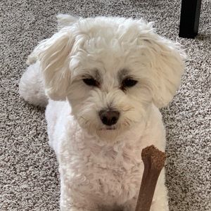 Meet your Posher, Tina